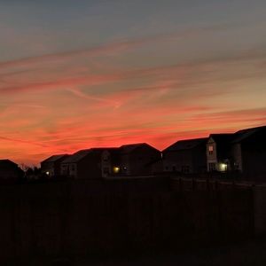 Meet your Posher, Bonnie